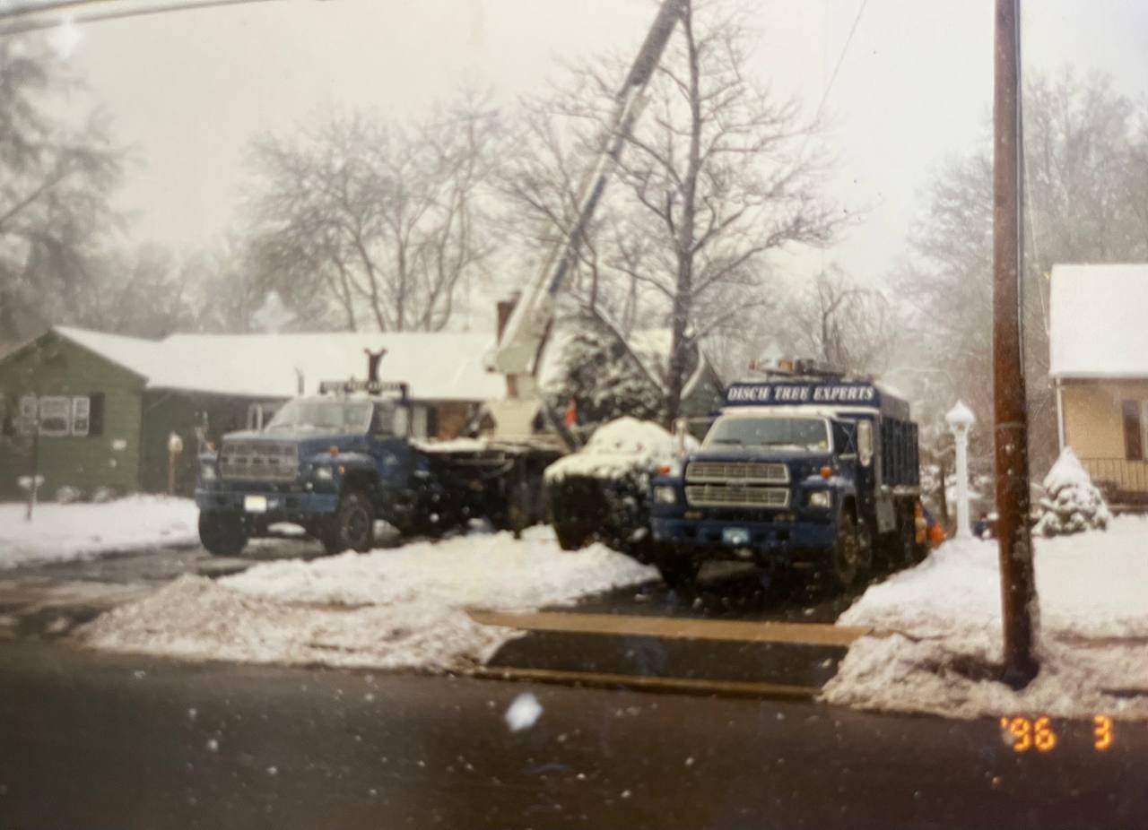 Two Disch Tree Experts blue Ford trucks parked in a Central NJ snowstorm — March 1996