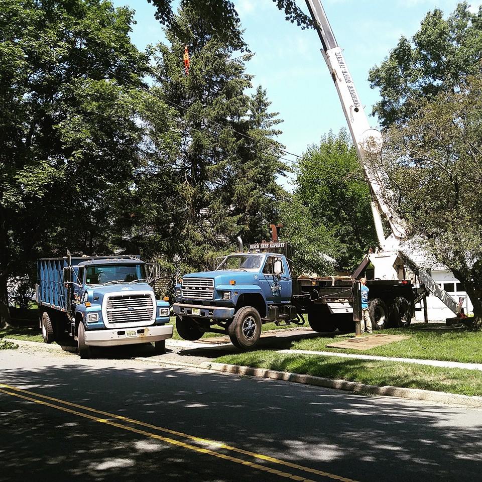Disch trucks on a NJ residential street