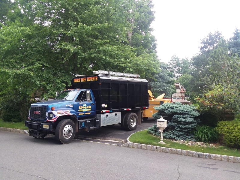 Disch Tree Experts GMC chip truck and wood chipper on a residential job site in Central New Jersey