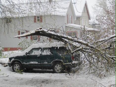 Snow-laden tree limb fallen across a car