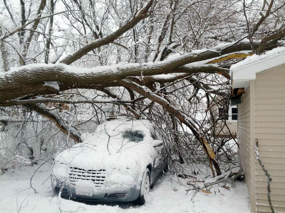 Snow-laden tree fallen onto a car and house — Disch 24/7 storm response