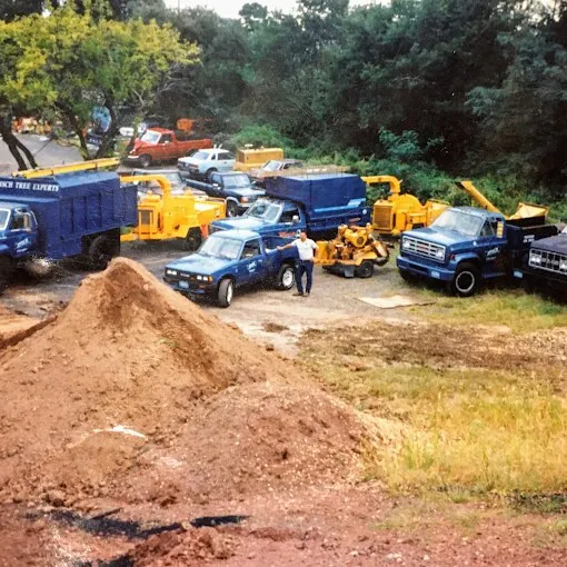 Bill Disch with the Disch Tree Experts fleet — chip trucks, pickups, and stump grinders — in 1993