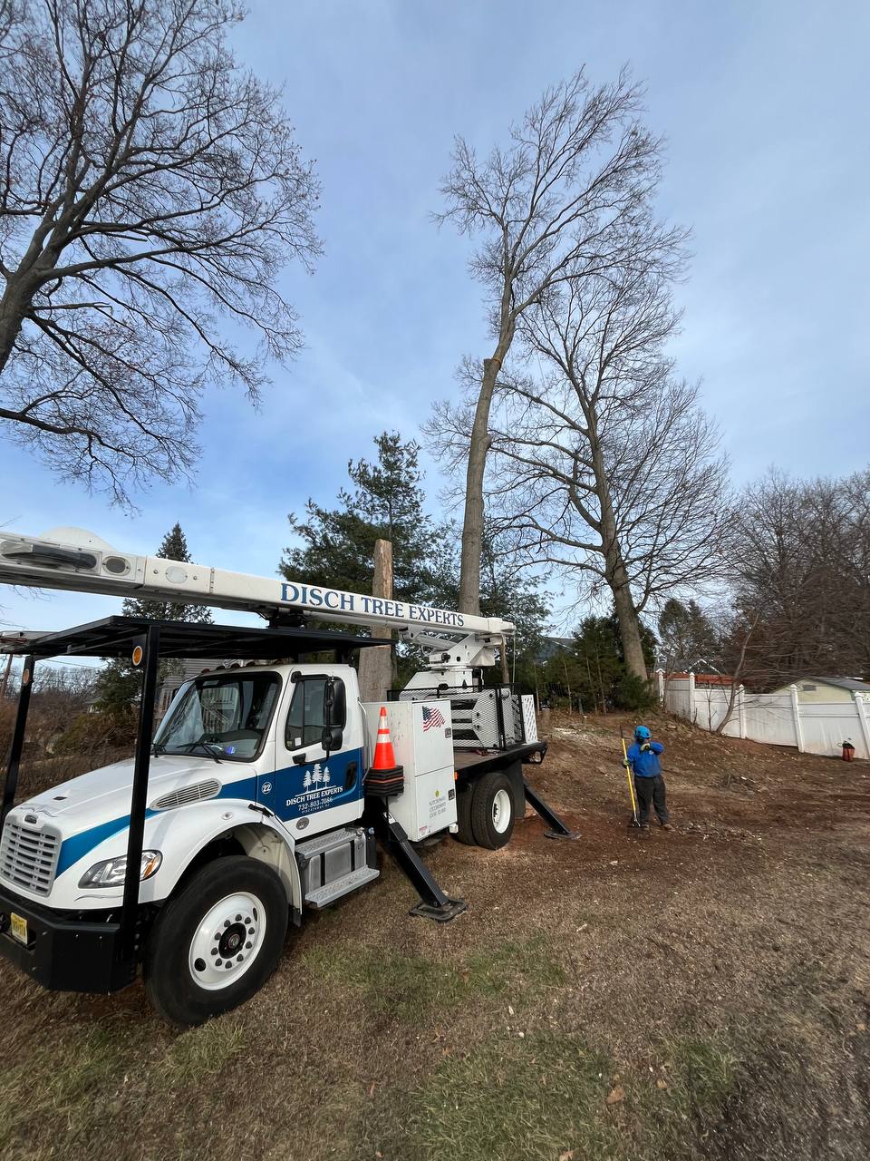Disch bucket truck working a residential yard tree in Central New Jersey