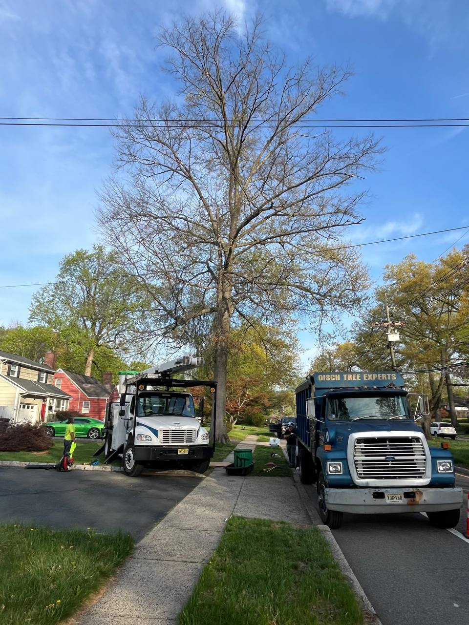 Two Disch trucks — Freightliner crane and blue Ford dump — staged on a Central NJ street